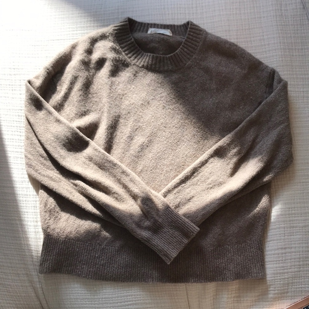 Everlane Cocoon Crew in Plus Cotton